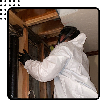 Asbestos Abatement in Boulder and Longmont, CO