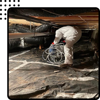 Mold Remediation in Denver, CO